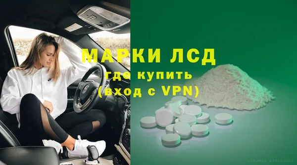 индика Алзамай