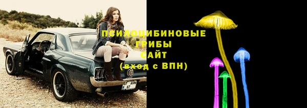 спайс Алексин