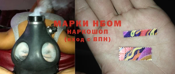 индика Алзамай
