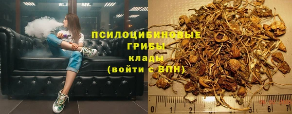 индика Алзамай