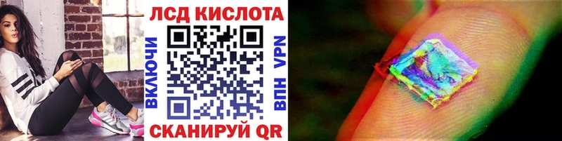Наркотические марки 1500мкг  где можно купить наркотик  Махачкала 